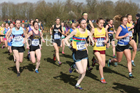 Senior womens 2019 British Athletics Inter Counties Cross Country, Prestwood Hall, Loughborough. Photo:  David T. Hewitson/Sports for All Pics